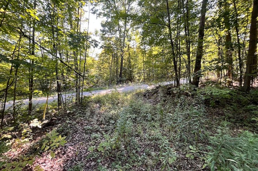 Chemung_25.999_Rouseland_Photos_6