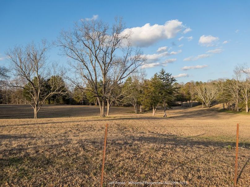 Hinds - 25.48 - Hank Beasley-19