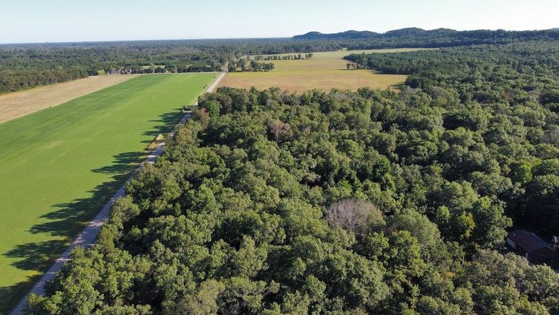 dji_fly_20240810_082014_319_1723296538966_photo_optimized