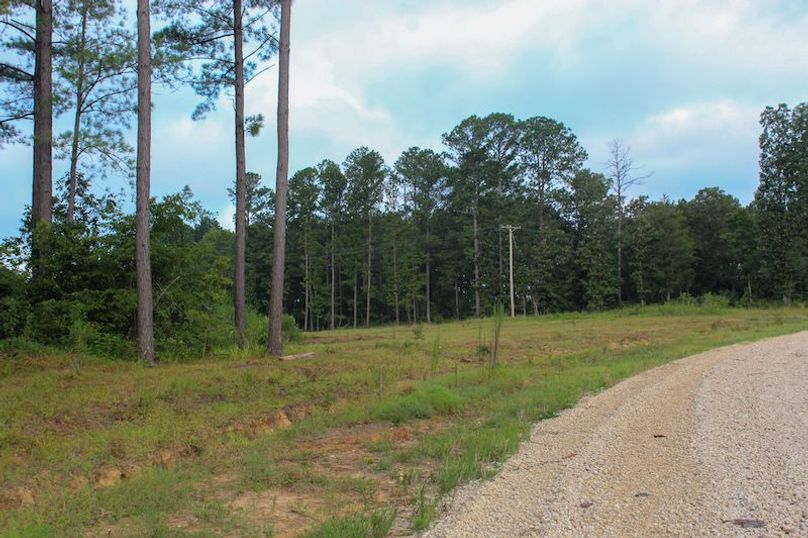 Madison Co - 20.25 - Camden Glenn-18