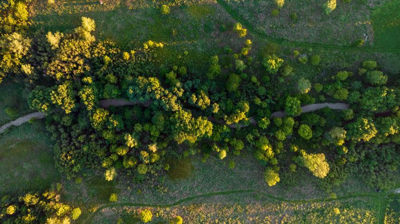 DJI_0108-HDR