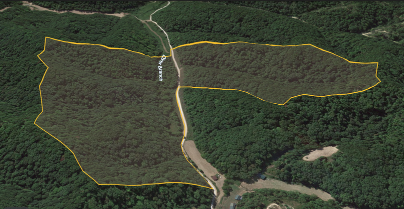 031 Morgan 80 Google Earth 3D image with boundary lines