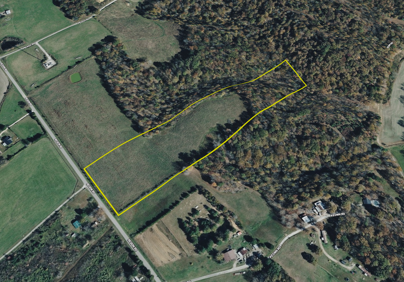 Butler KY 282.aerial.16 Tract 6 3d