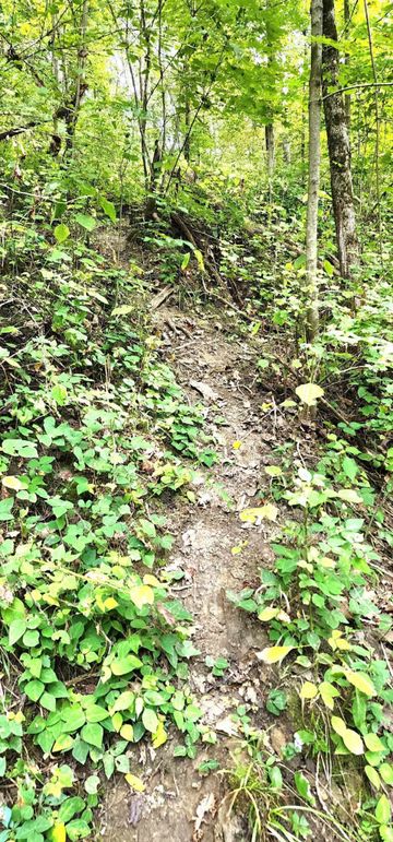 382341186_334764049029601_7910831008103069968_n