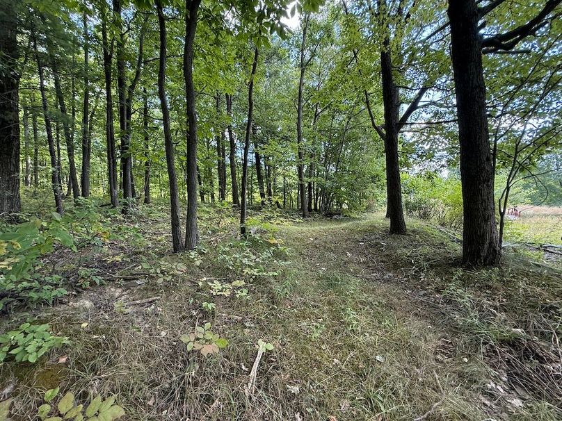 Ontario_33.3_Proseus Photo 48