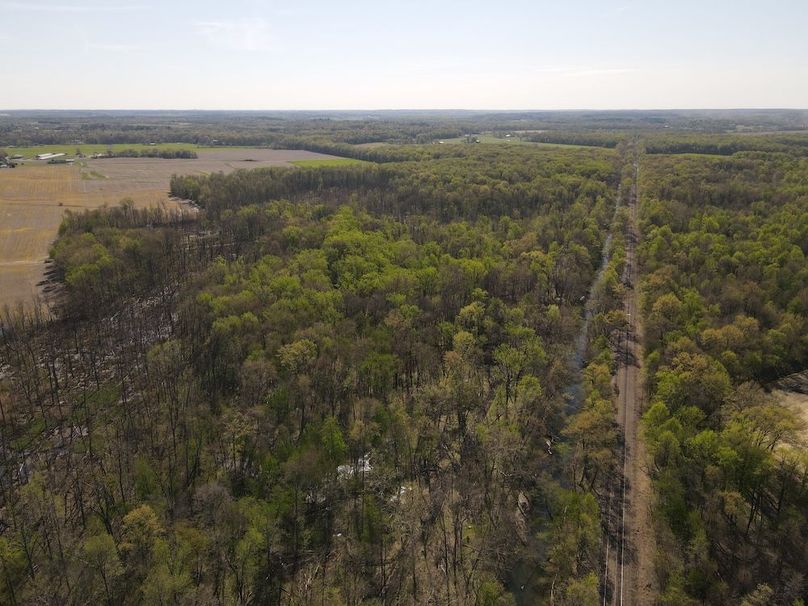 dji_fly_20260408_105922_63_1775660627113_photo