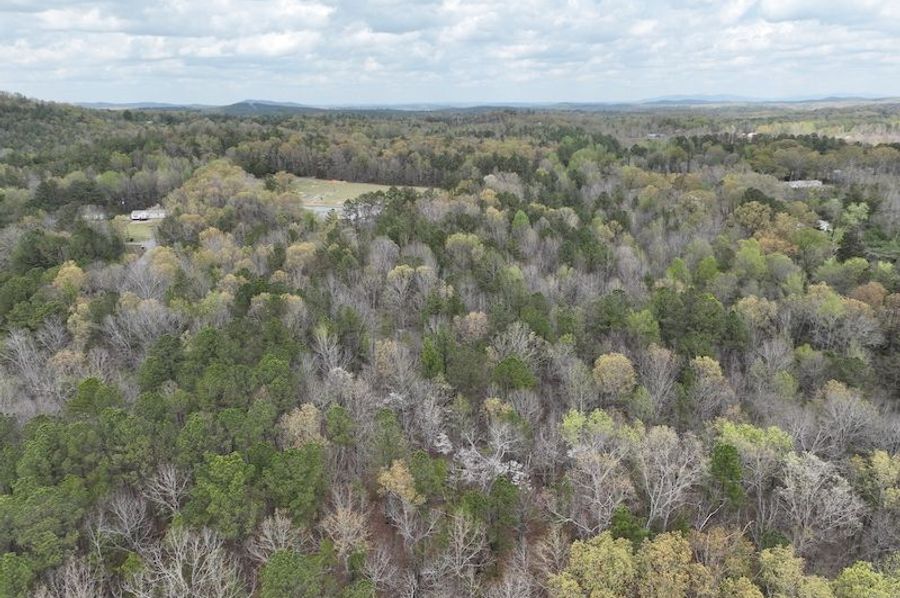 DJI_0009