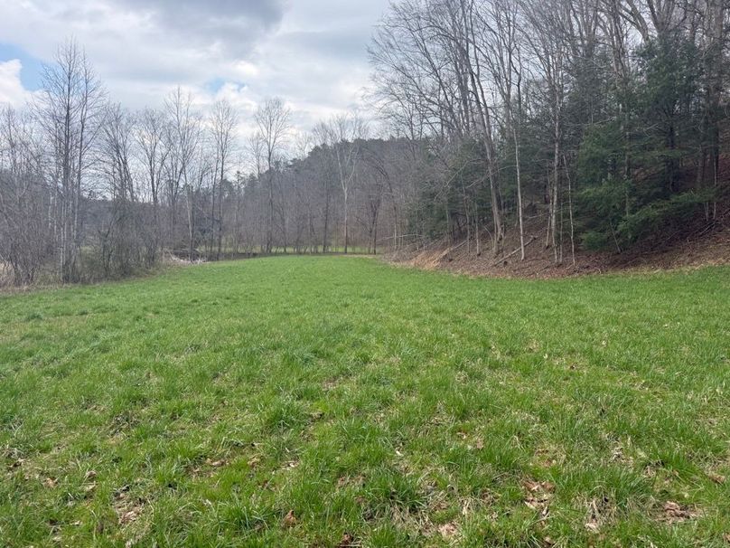 024 view of the smaller field across the creek