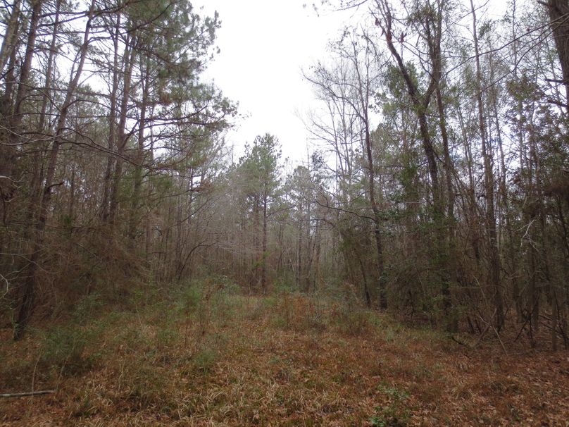 BB30E34D-9DB0-47B1-8A2F-3BF3A4744CAA