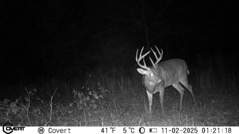 11_02_2025_01_21_18_3233752694