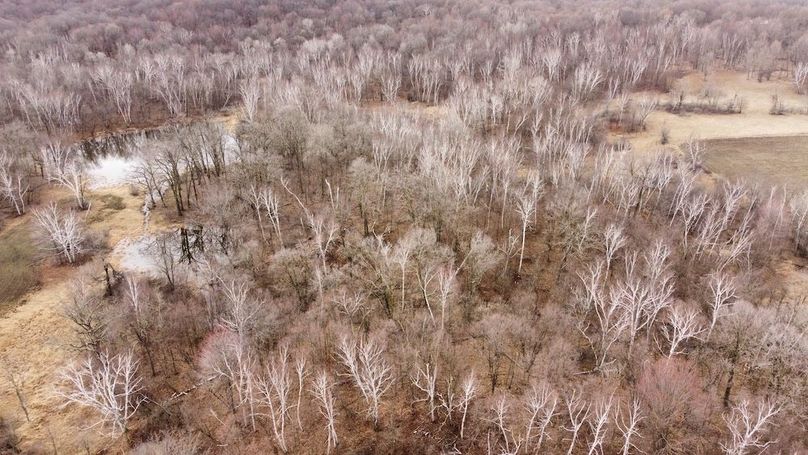 dji_fly_20240410_091014_303_1712758256058_photo_optimized