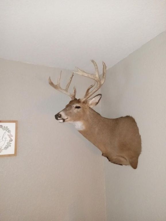 Resized_20240313_162310