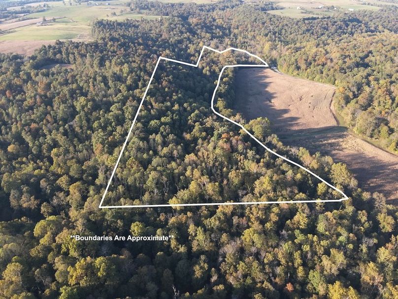 DJI_20251012175842_00005_W