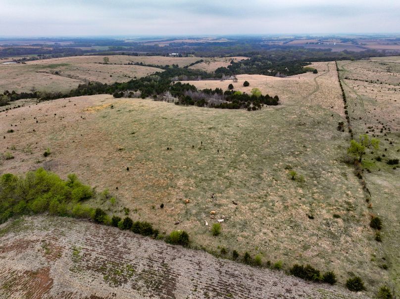 Washington, Co, 83.3_014