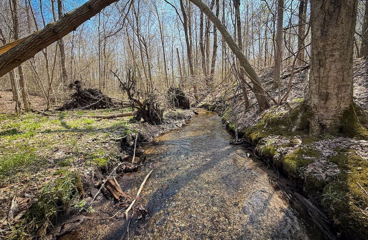 Cayuga_23.5_Demott_photos_4