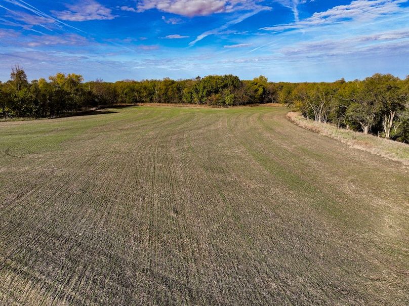 Dickinson Co, 154.5_007