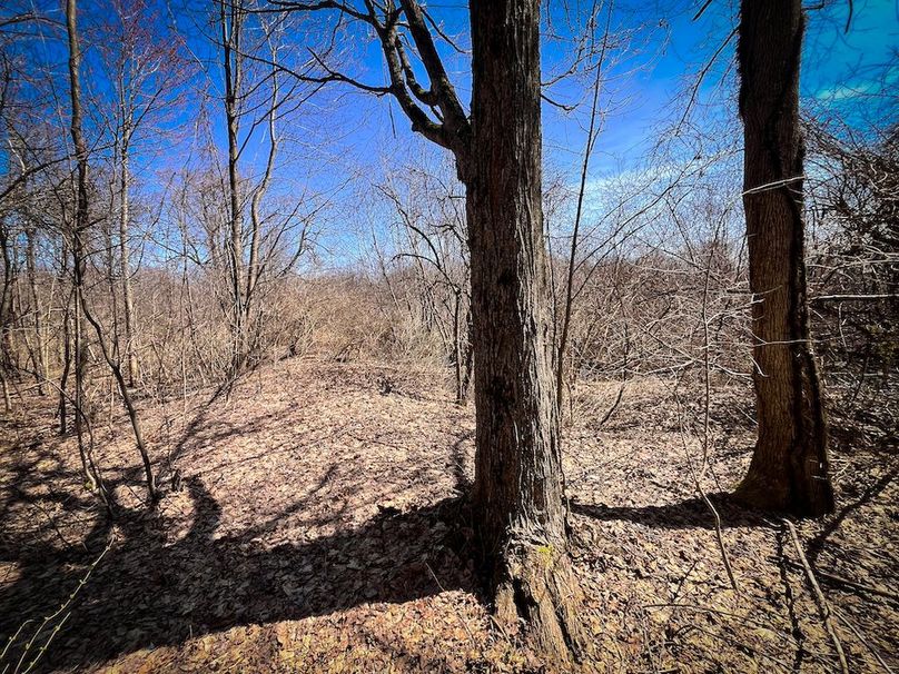 Oswego_13.95_Moore_Bush_Photos_28