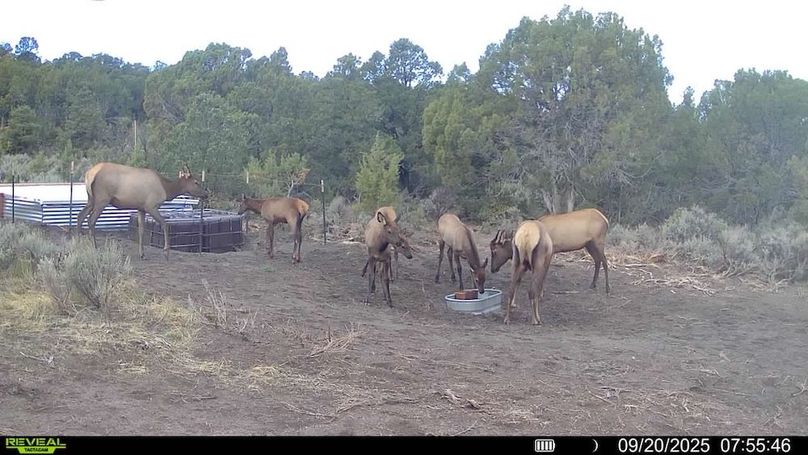 016578004060205-100-3-09202025075546-V-SYFW00181