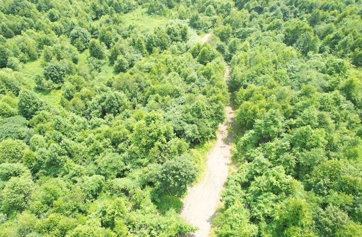 dji_fly_20240621_113552_295_1718984589882_photo