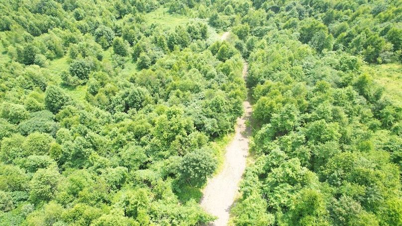 dji_fly_20240621_113552_295_1718984589882_photo