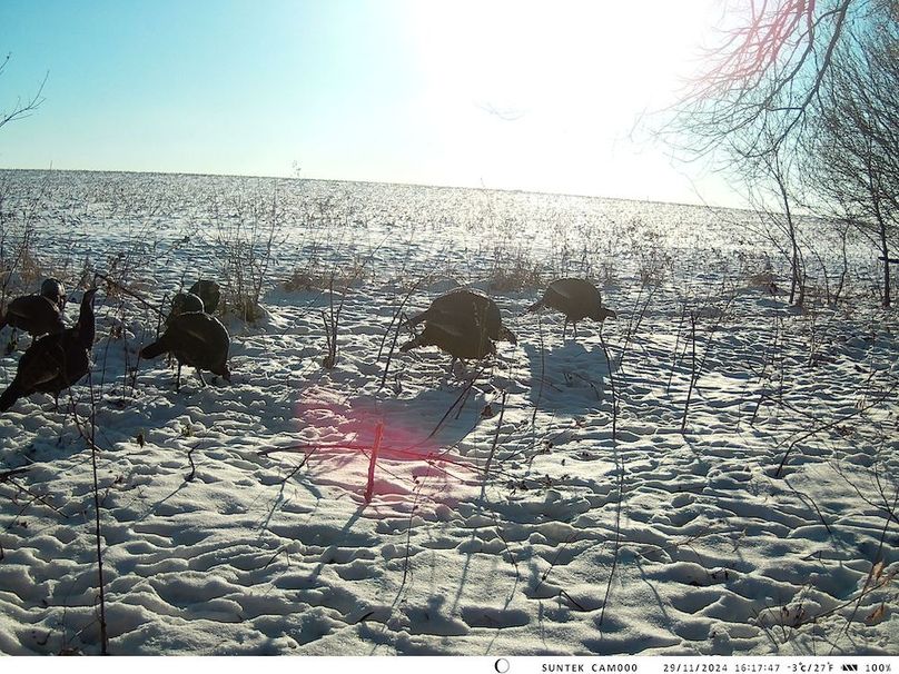 2024-1129-161747_000421