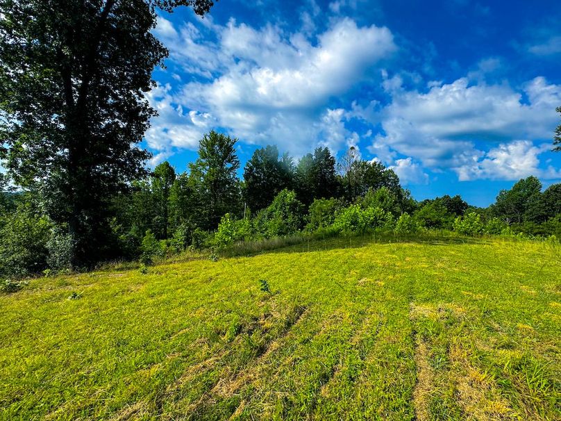 Lewis, WV 82.87 AC Barger-115