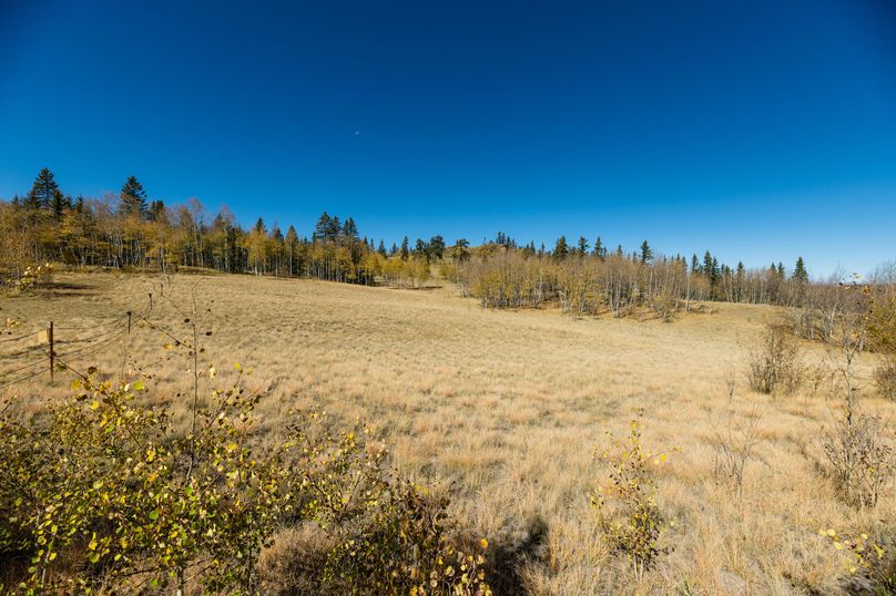 Park Co 35.37 Bowling - 022 South Meadow