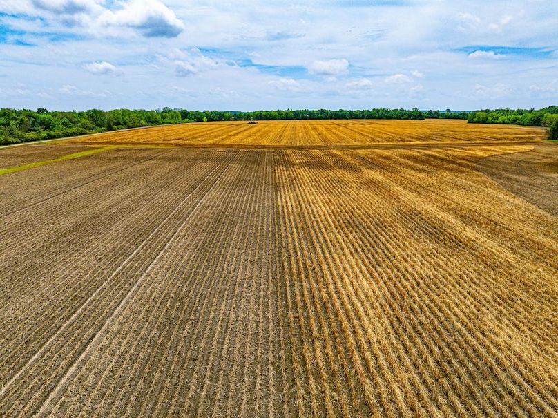 Copy of Noxubee 112.1 +- Tract 1-29