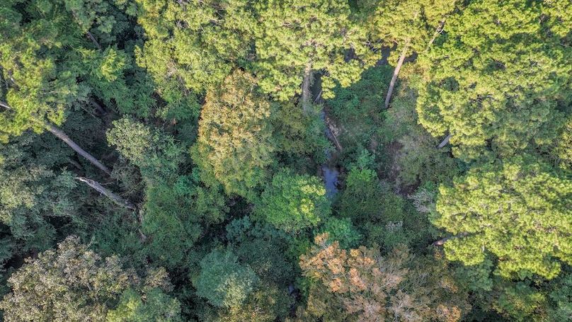 DJI_20250918080646_0119_D