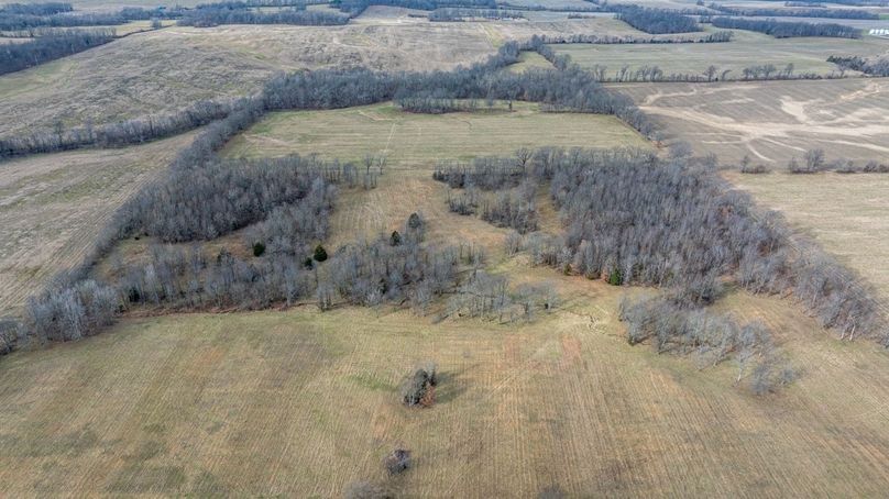 Copy of DJI_20260116100915_0032_D Large