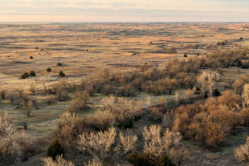 DJI_20260311081942_0524_D