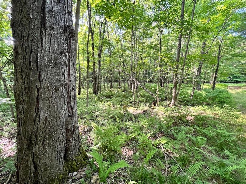 Jefferson_260.3_ Lobach_Photos_58