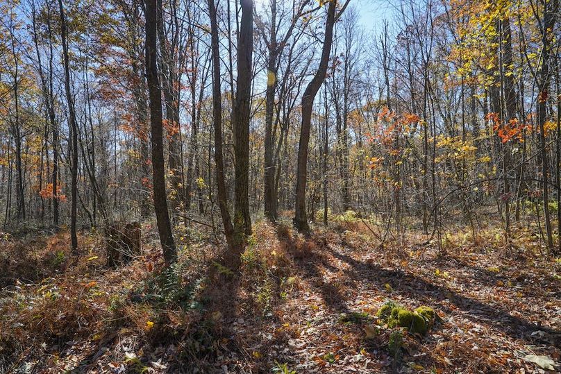 Somerset, 10.91, Tinkey-35