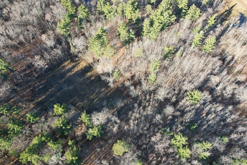 dji_fly_20231113_100428_278_1699891999870_photo