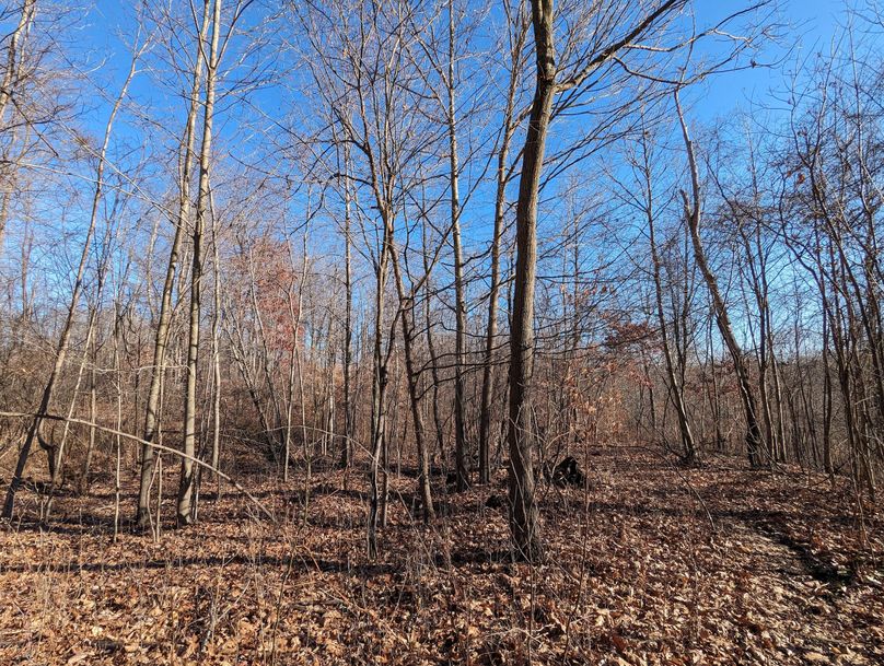 PXL_20231215_172415111