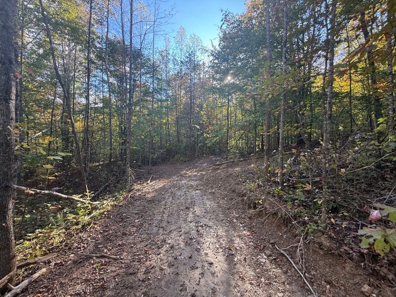 021 one of the newly opened trails leading towards the west boundary and ridge