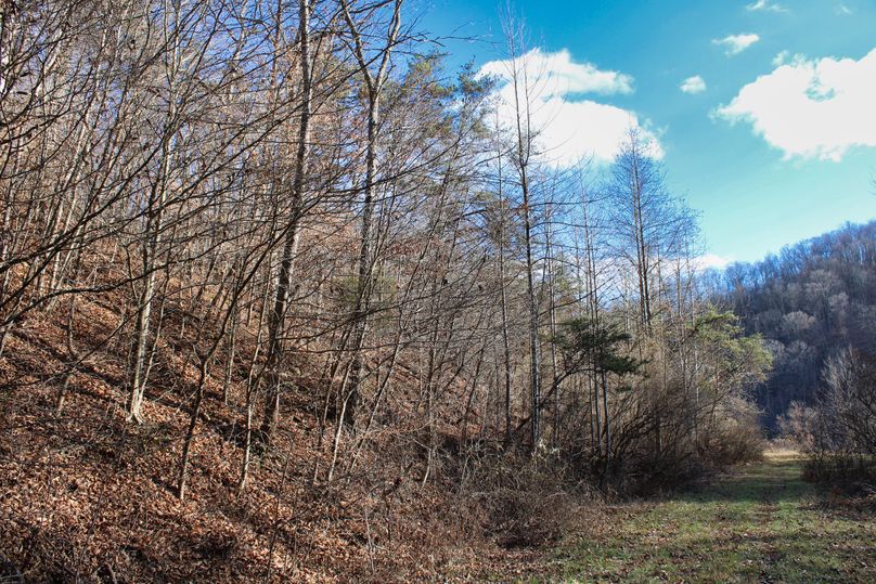 016 great internal road system leading all the way up the valley to the cabin and garage