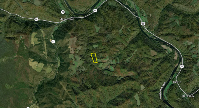 Screenshot 2026-03-13 at 2.34.06 PM