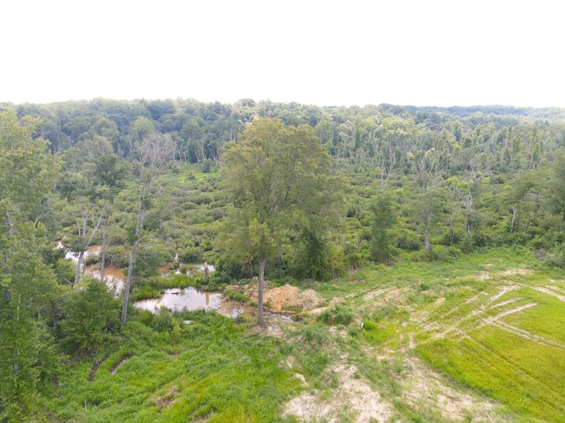 dji_fly_20250729_121634_748_1753805811547_photo