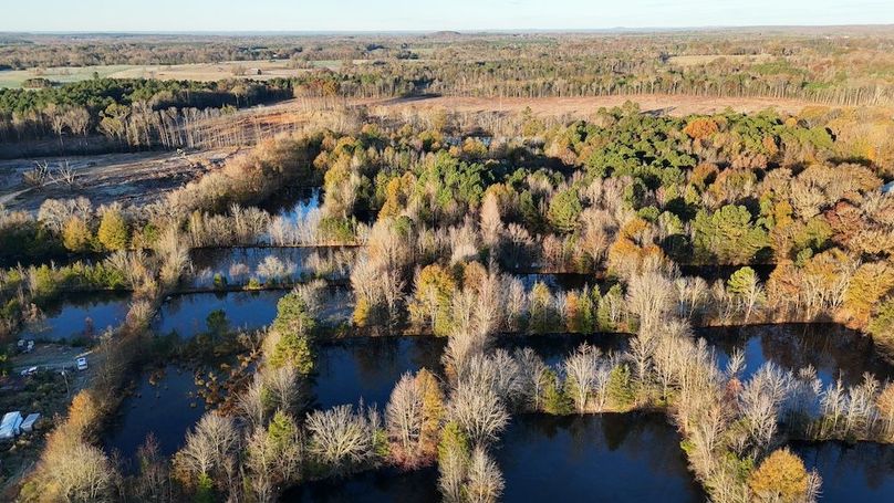 dji_fly_20251114_074206_0978_1763127700838_photo