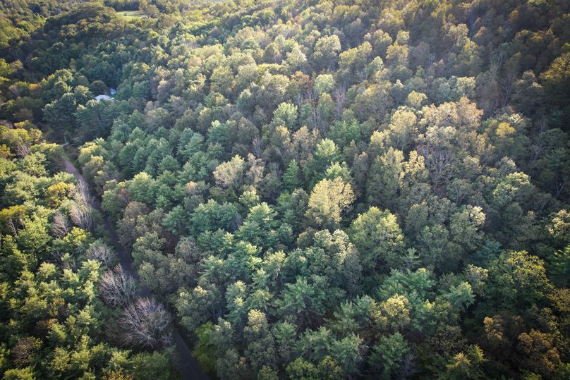 Tioga_20_Peters Photo 7