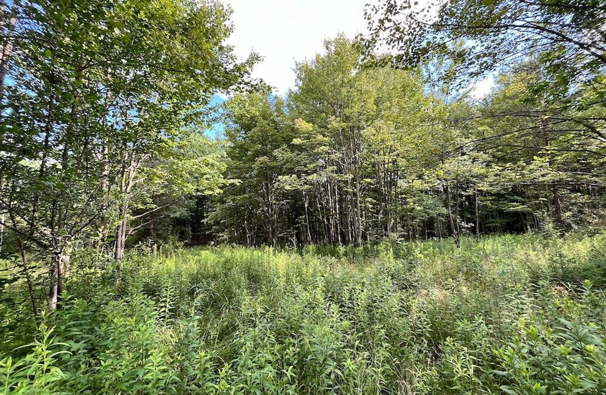 Chemung_77.71_Gutchess_Lumber_3