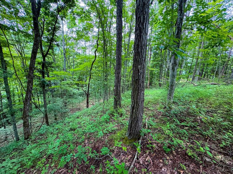 Tyler, WV 46 Lemasters -26