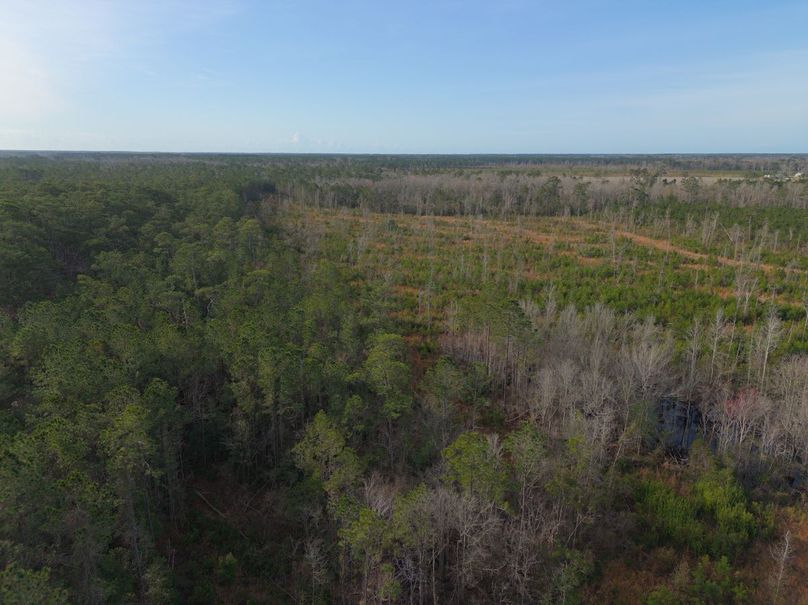 DJI_20240227083434_0031_craven60