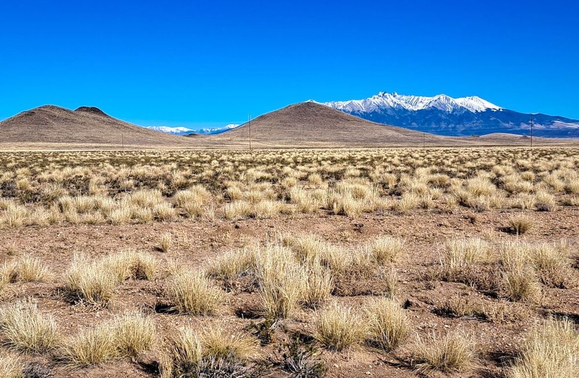 136833805390261839 2