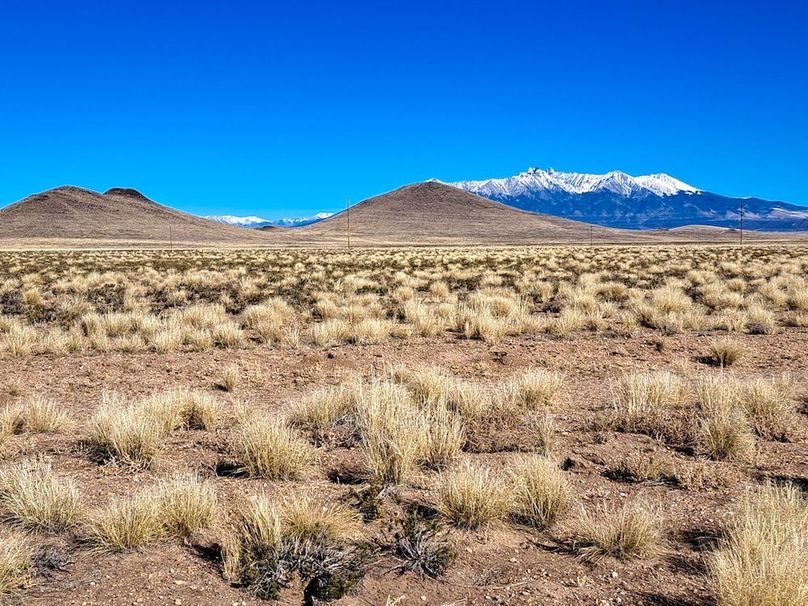 136833805390261839 2