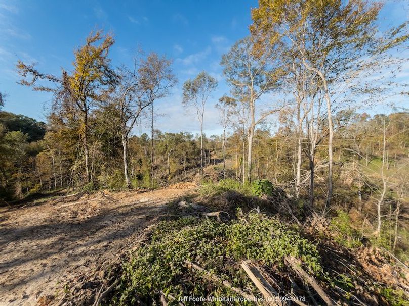 Claiborne Co-189-Geronimo-43