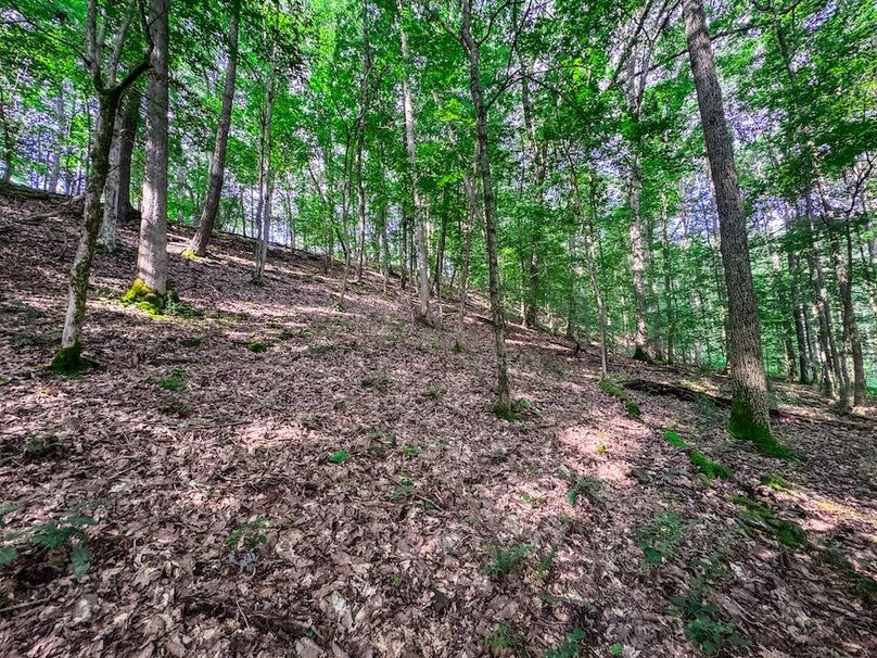 Lewis, WV 105 AC Miller-50