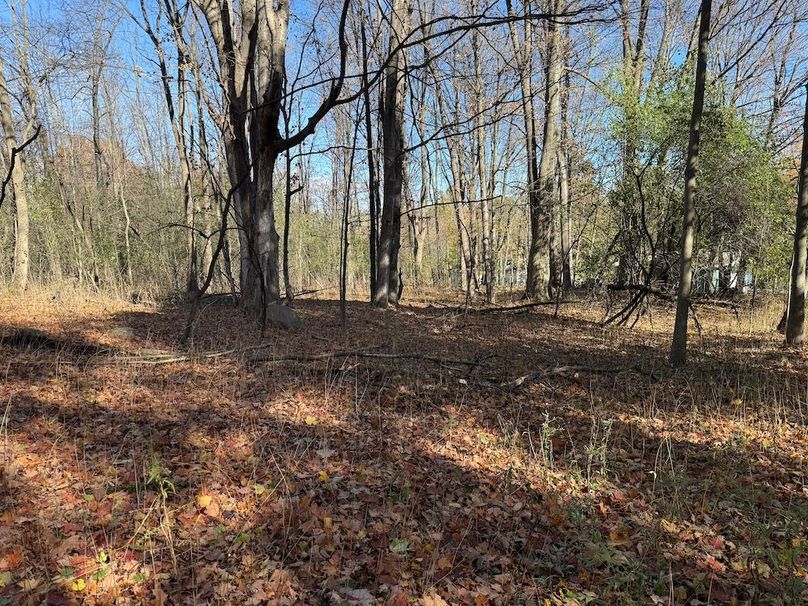 Wayne_18.11_Koehler Photo 10