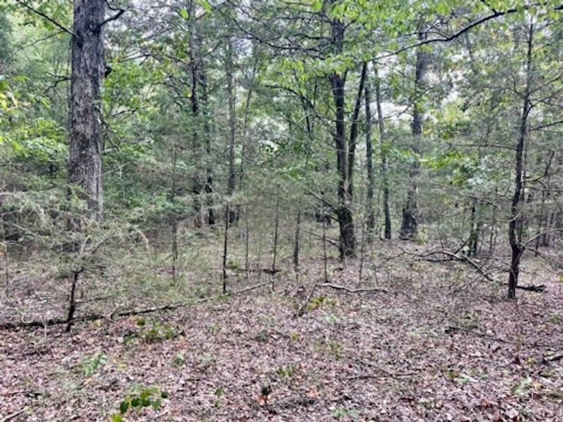 295B0155-7CE2-4280-9E9C-2653585C86C3_4_5005_c